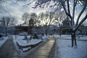 Campus reflective