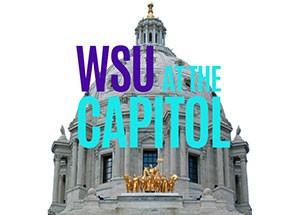 WSU at the MN Capitol