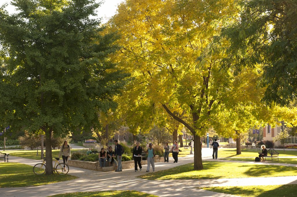 wsu-recognized-as-2020-tree-campus-usa-winona-state-news